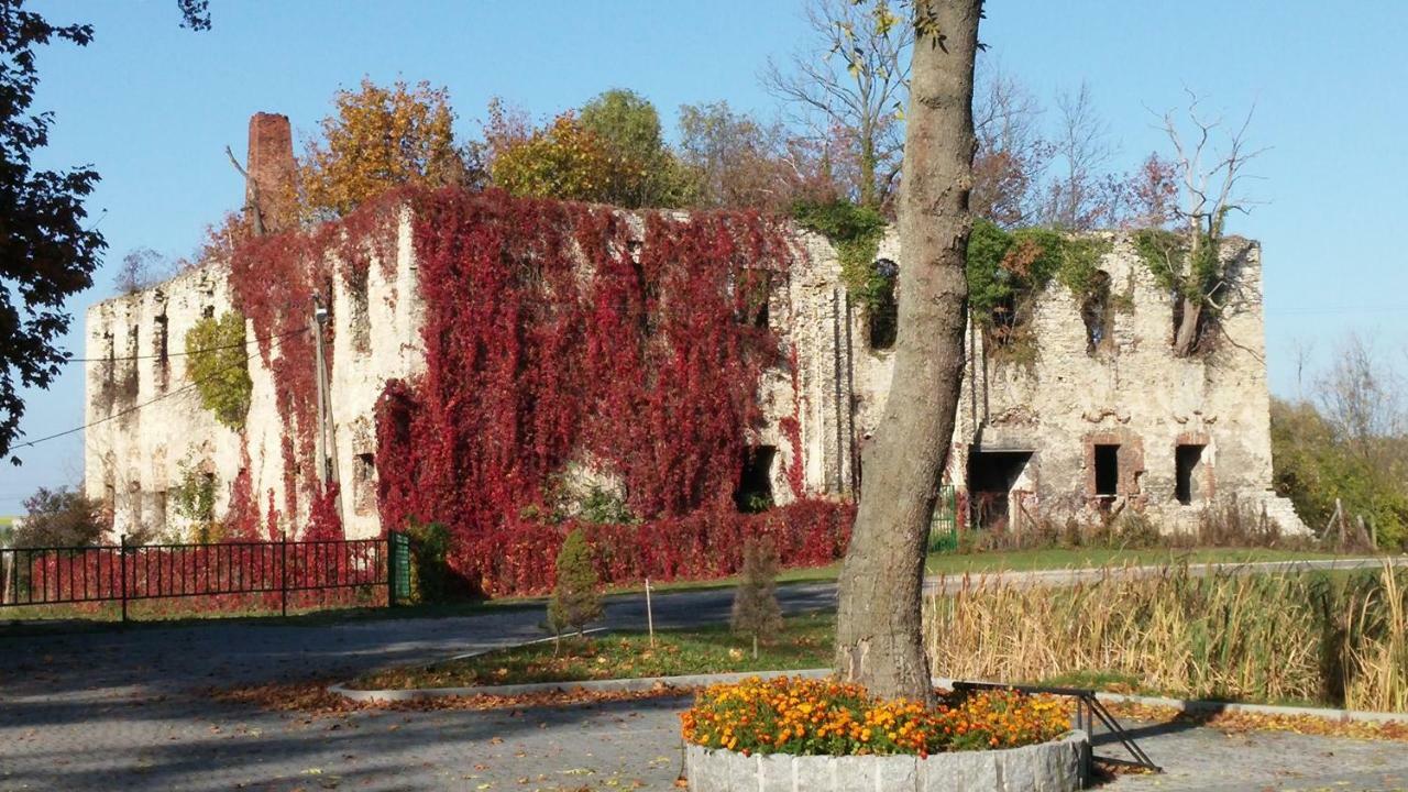 Palac Lucja Bb Zakrzów エクステリア 写真