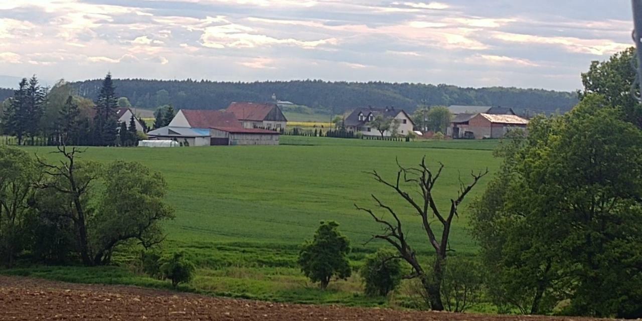 Palac Lucja Bb Zakrzów エクステリア 写真